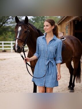 Velvet Heart Light Blue Denim Dress